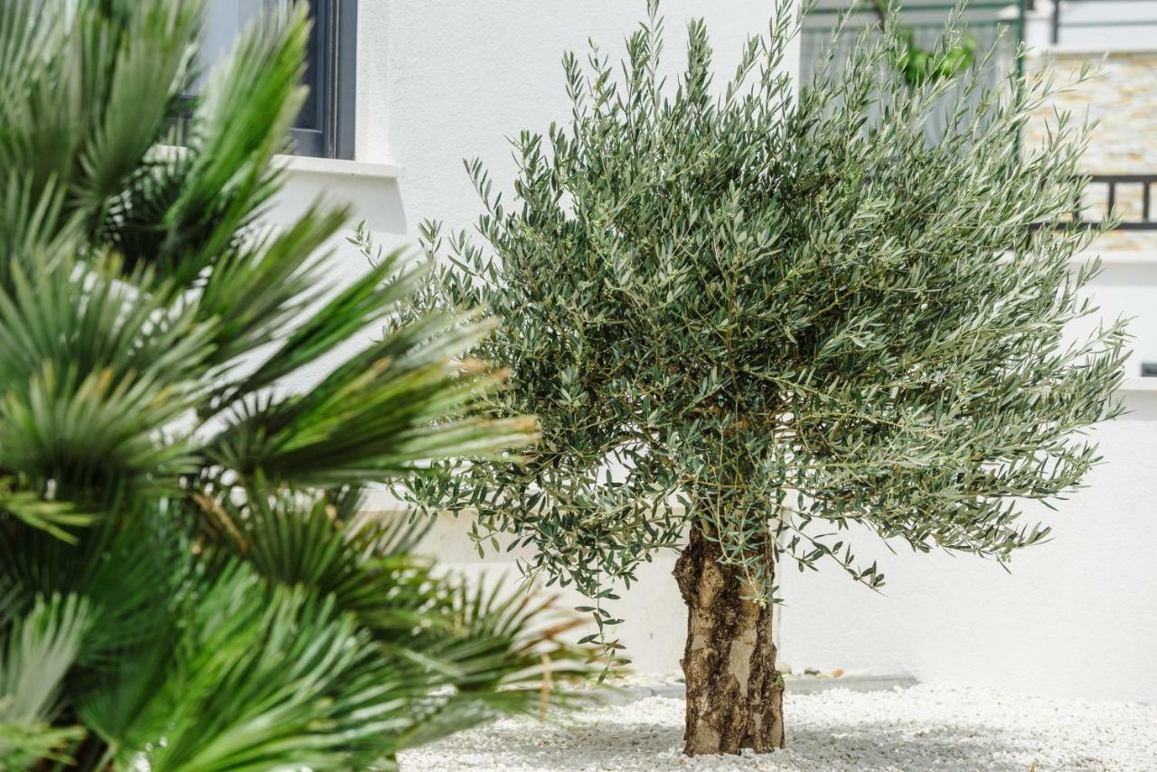 Apartments Villa Dalmatia Trogir Bagian luar foto